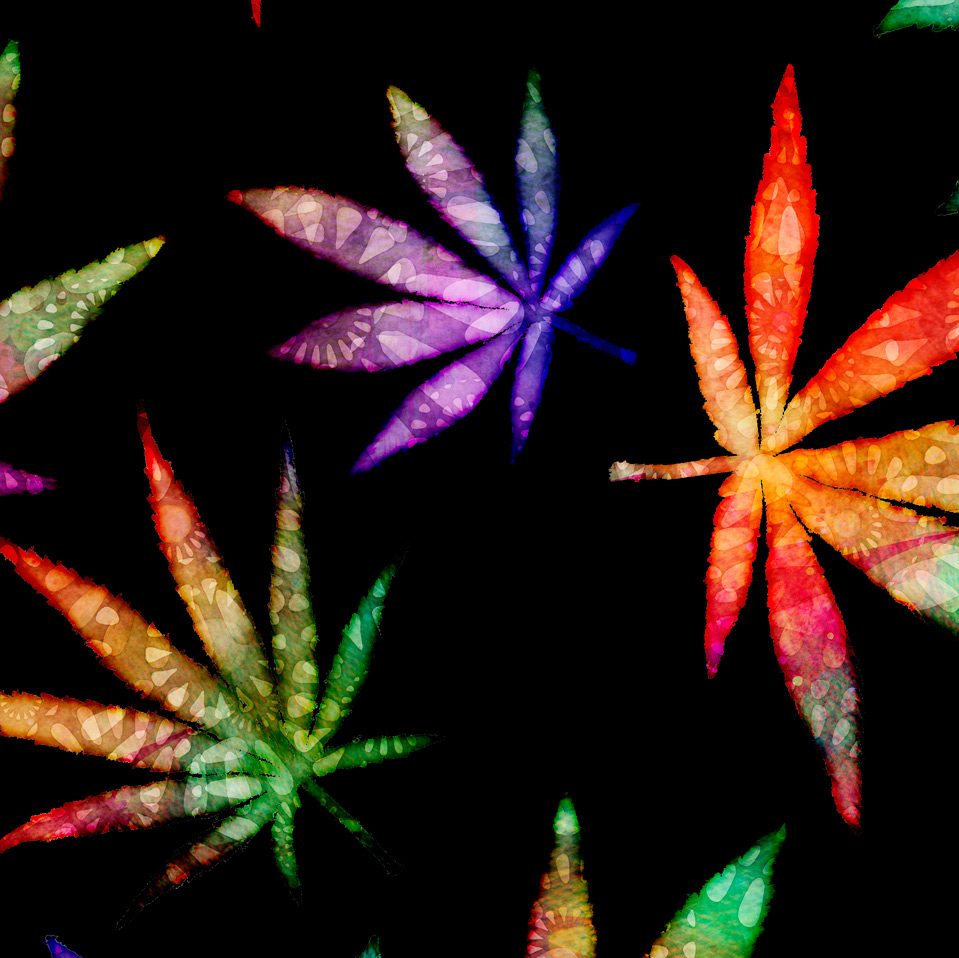 MINKY PRINTS             